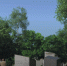 background - Koryazhma-Poisk.Ru