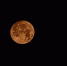 background - Koryazhma-Poisk.Ru