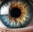 background - Koryazhma-Poisk.Ru