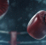 background - Koryazhma-Poisk.Ru