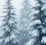 background - Koryazhma-Poisk.Ru
