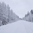 background - Koryazhma-Poisk.Ru