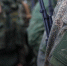 background - Koryazhma-Poisk.Ru