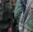 background - Koryazhma-Poisk.Ru