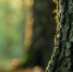 background - Koryazhma-Poisk.Ru