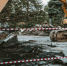 background - Koryazhma-Poisk.Ru