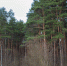 background - Koryazhma-Poisk.Ru