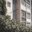 background - Koryazhma-Poisk.Ru
