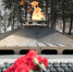 background - Koryazhma-Poisk.Ru