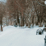 background - Koryazhma-Poisk.Ru