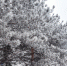 background - Koryazhma-Poisk.Ru