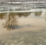 background - Koryazhma-Poisk.Ru