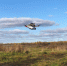 background - Koryazhma-Poisk.Ru