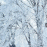 background - Koryazhma-Poisk.Ru