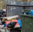 background - Koryazhma-Poisk.Ru