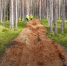 background - Koryazhma-Poisk.Ru