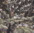 background - Koryazhma-Poisk.Ru