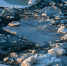 background - Koryazhma-Poisk.Ru