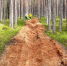 background - Koryazhma-Poisk.Ru