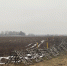background - Koryazhma-Poisk.Ru