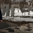 background - Koryazhma-Poisk.Ru