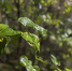 background - Koryazhma-Poisk.Ru