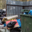 background - Koryazhma-Poisk.Ru