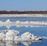 background - Koryazhma-Poisk.Ru