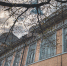background - Koryazhma-Poisk.Ru