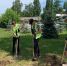 background - Koryazhma-Poisk.Ru