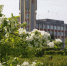 background - Koryazhma-Poisk.Ru