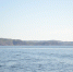 background - Koryazhma-Poisk.Ru