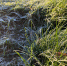 background - Koryazhma-Poisk.Ru