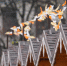 background - Koryazhma-Poisk.Ru