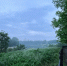 background - Koryazhma-Poisk.Ru