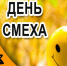 Поздравление Главы МО с Днем смеха. - Город Коряжма