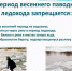 Весенний лёд опасен!. - Город Коряжма